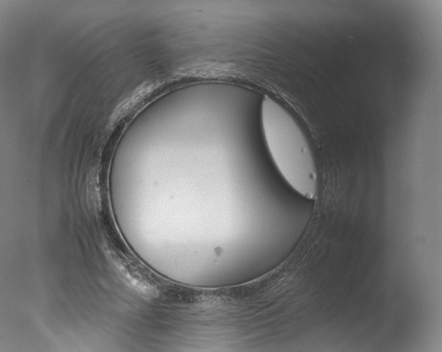 X0000077380682200610201043