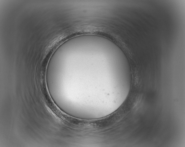 X0000077380683200610201043