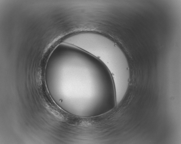 X0000077380684200610201043