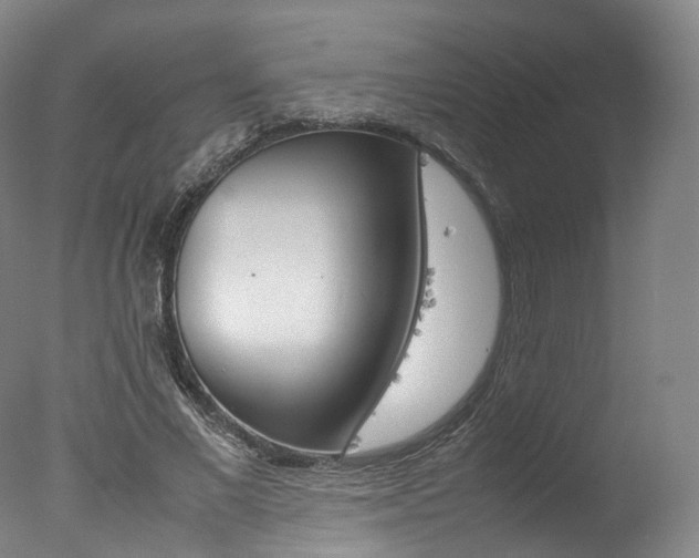 X0000077380685200610201043