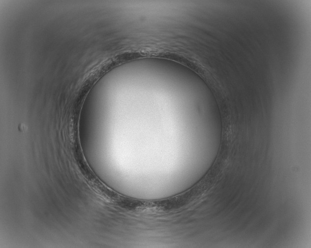X0000077380689200610201043