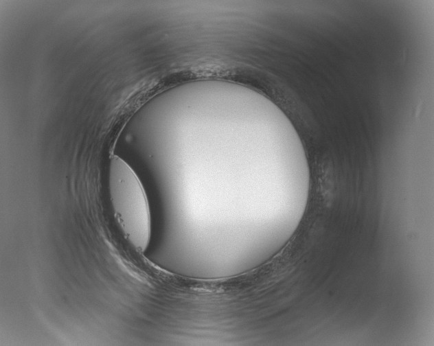 X0000077380690200610201043