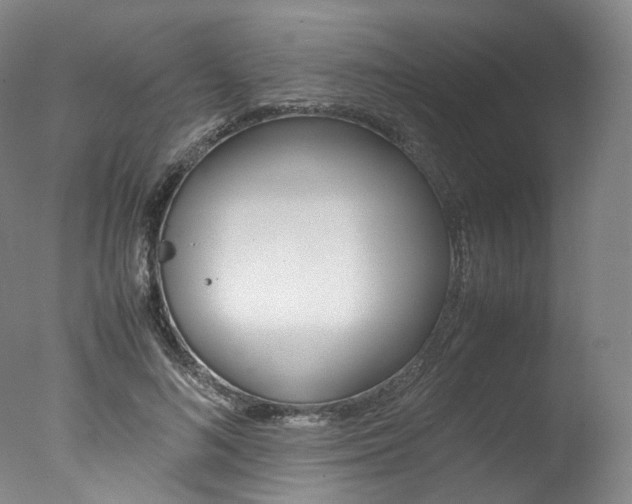 X0000077380692200610201043