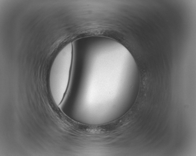 X0000077380693200610201043