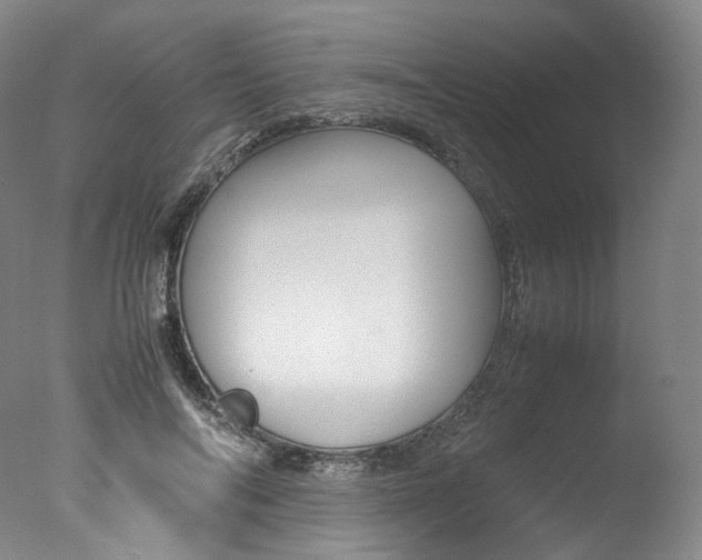 X0000077380694200610201043