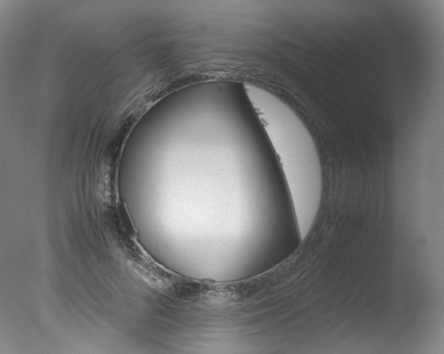 X0000077380696200610201043