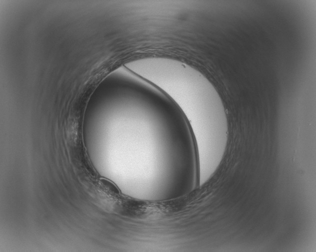 X0000077380697200610201043