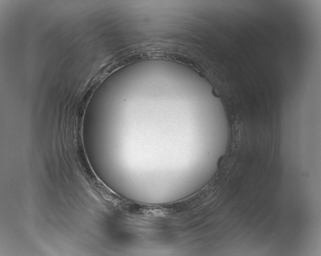 X0000077380698200610201043