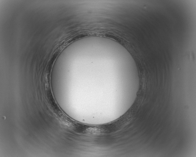 X0000077380699200610201043