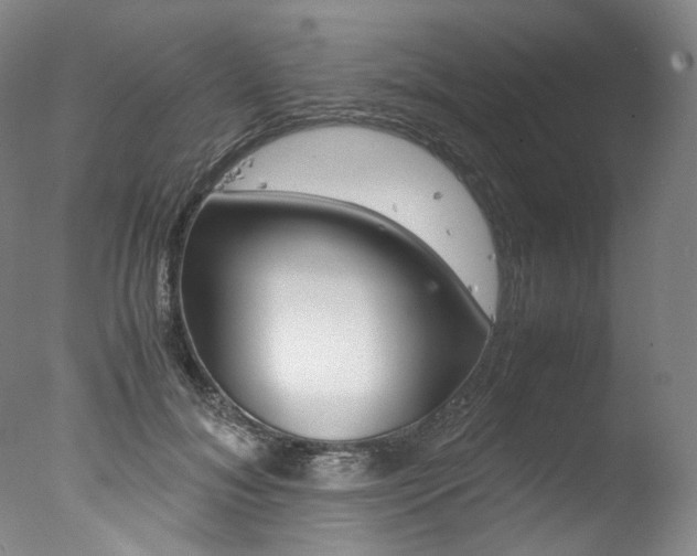 X0000077380700200610201043