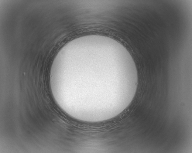 X0000077380701200610201043