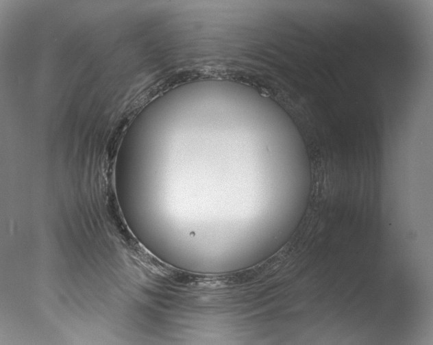 X0000077380702200610201043
