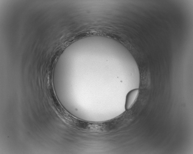 X0000077380703200610201043