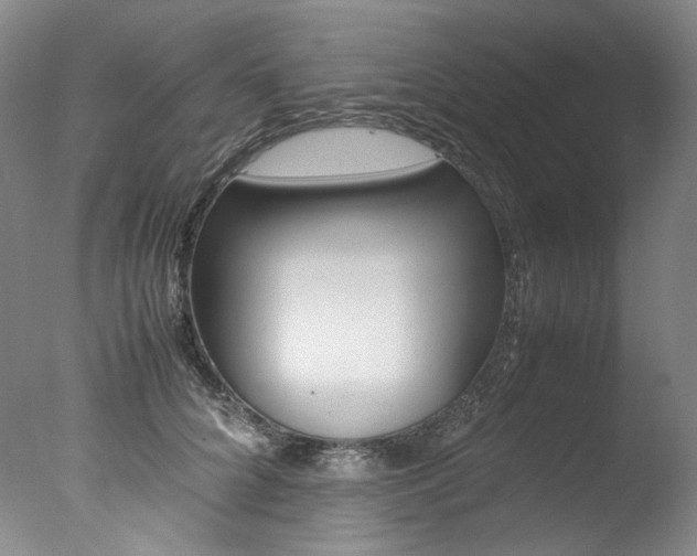 X0000077380704200610201043