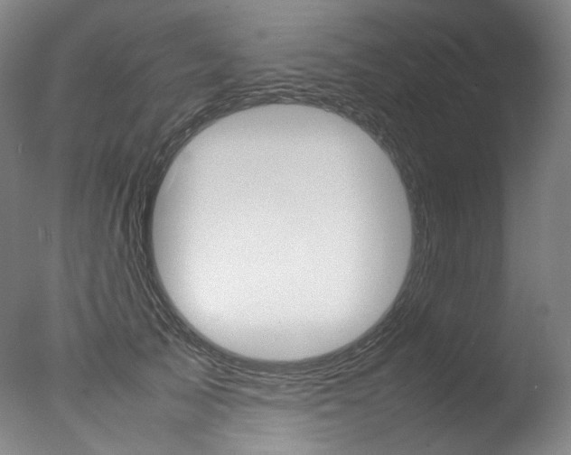 X0000077380705200610201043