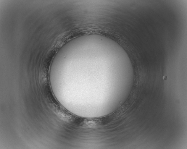 X0000077380706200610201043