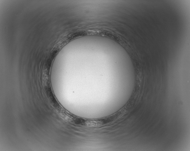 X0000077380707200610201043