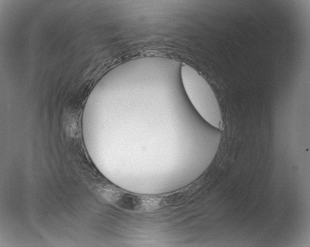 X0000077380709200610201043