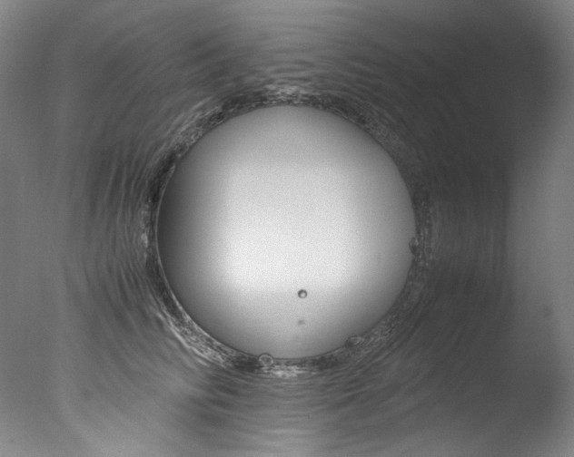 X0000077380710200610201043
