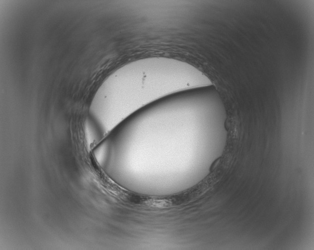 X0000077380711200610201043