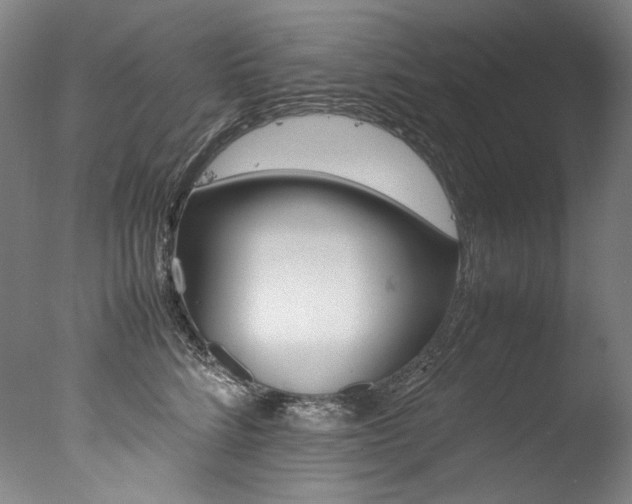 X0000077380712200610201043