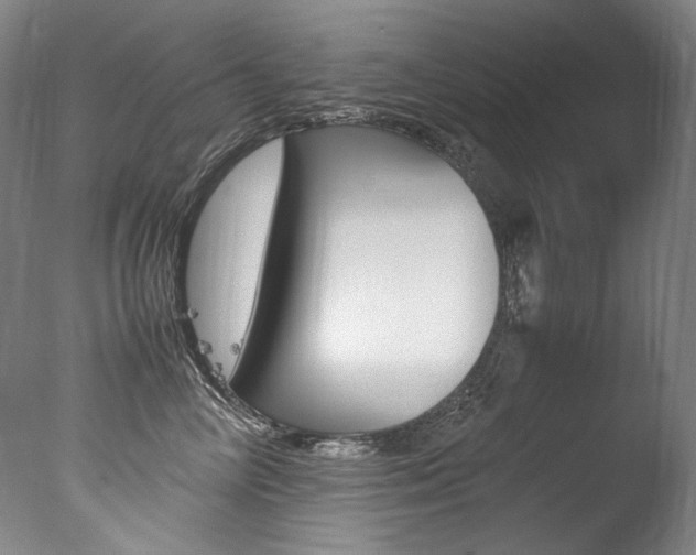 X0000077380714200610201043