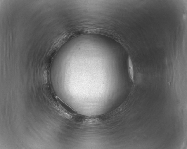 X0000077380716200610201043