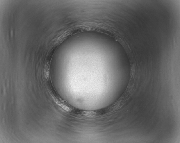 X0000077380719200610201043