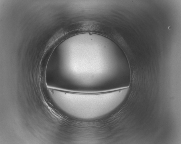 X0000077380722200610201042