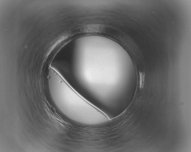 X0000077380723200610201042