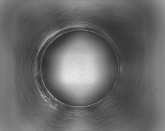 X0000077380724200610201042