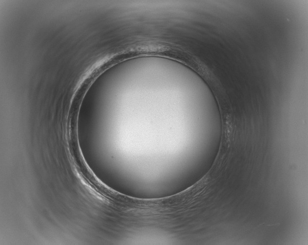 X0000077380726200610201042
