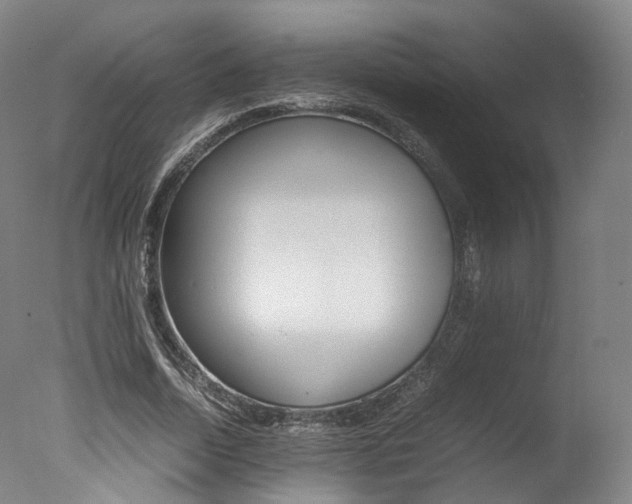 X0000077380730200610201042