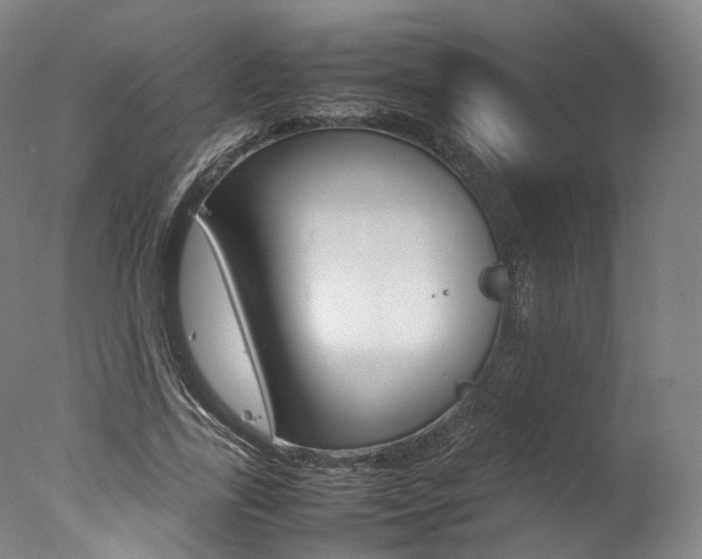 X0000077380731200610201042