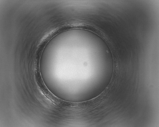 X0000077380732200610201042