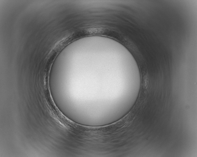 X0000077380733200610201042