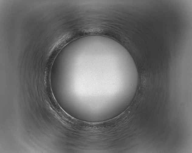 X0000077380735200610201042