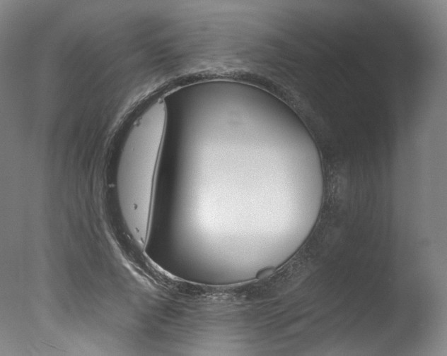 X0000077380736200610201042