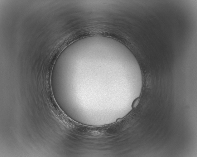X0000077380737200610201042