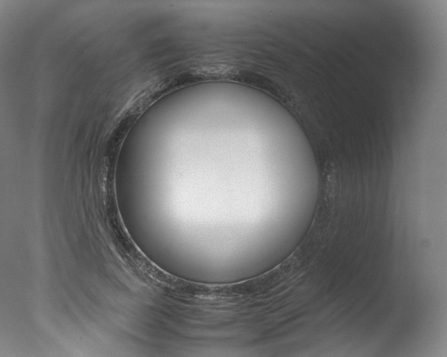 X0000077380739200610201042