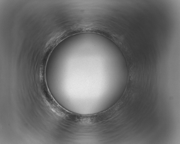 X0000077380740200610201042