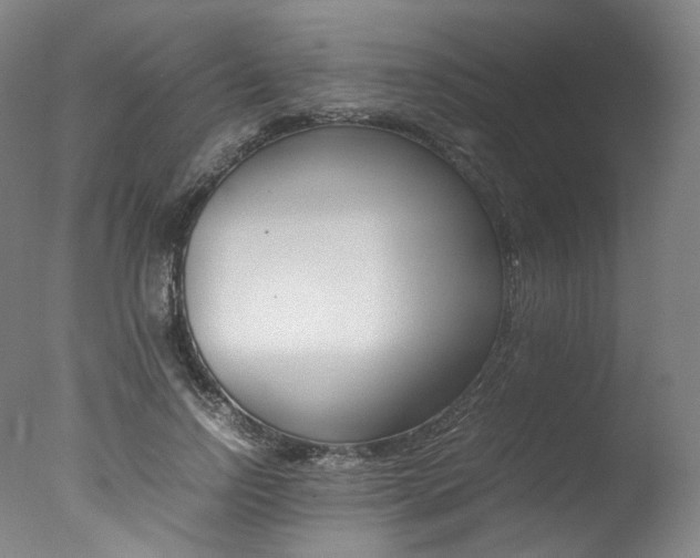 X0000077380742200610201042