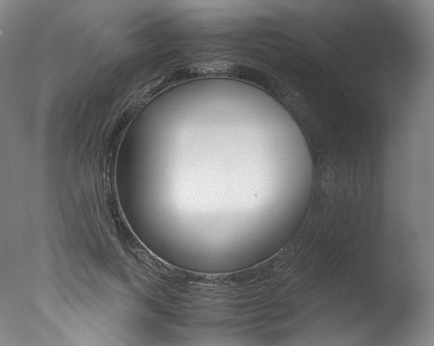 X0000077380743200610201042