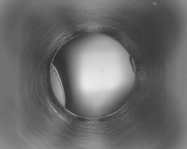 X0000077380744200610201042