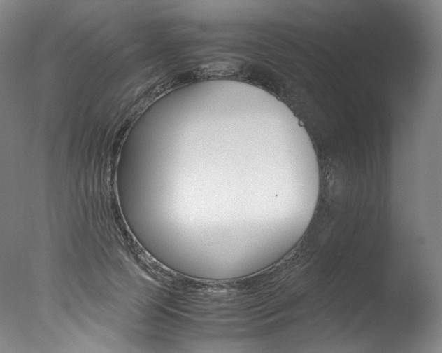 X0000077380745200610201042
