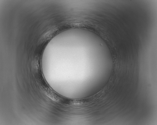 X0000077380746200610201042