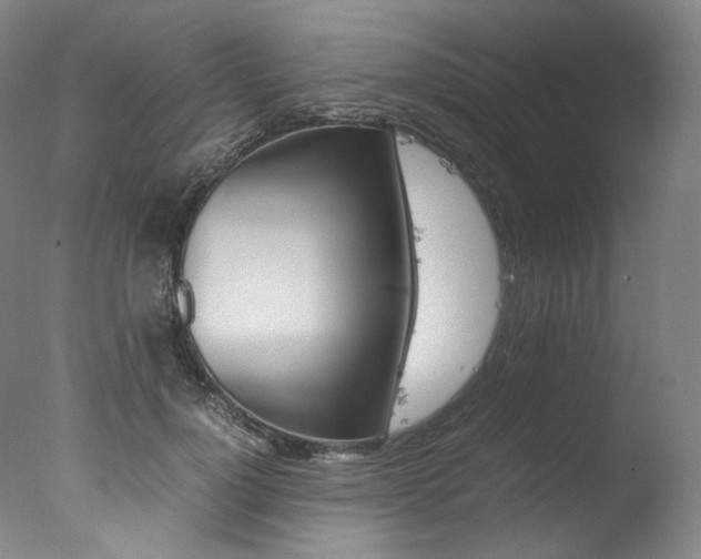 X0000077380748200610201042
