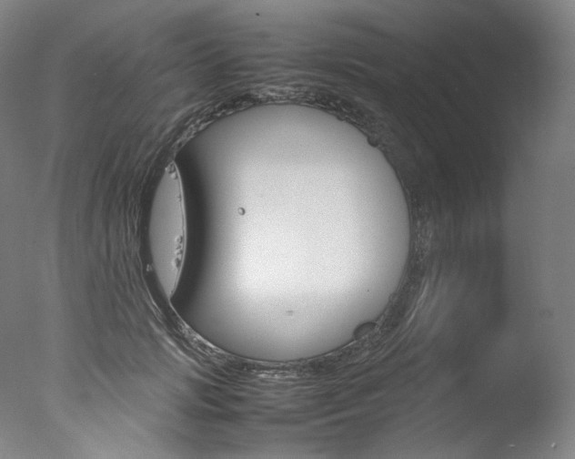 X0000077380749200610201042