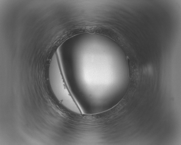 X0000077380750200610201042