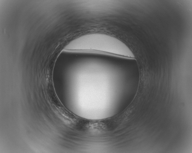 X0000077380752200610201042